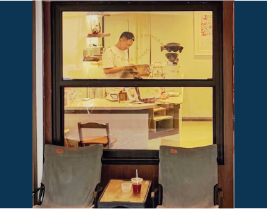 Series 70 Single-Hung American Window Windows Singapore
